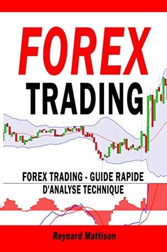 forex trading guide pratique
