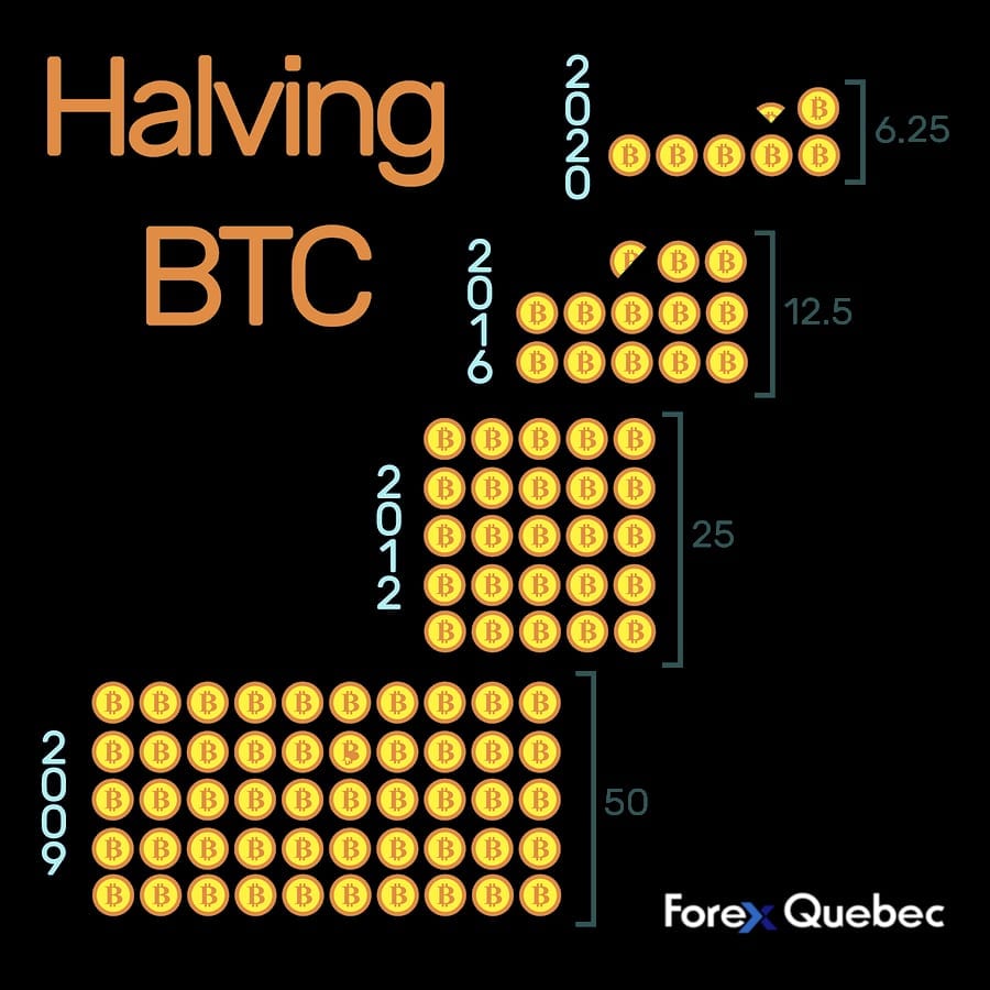 Bitcoin Halving Infographic 2020