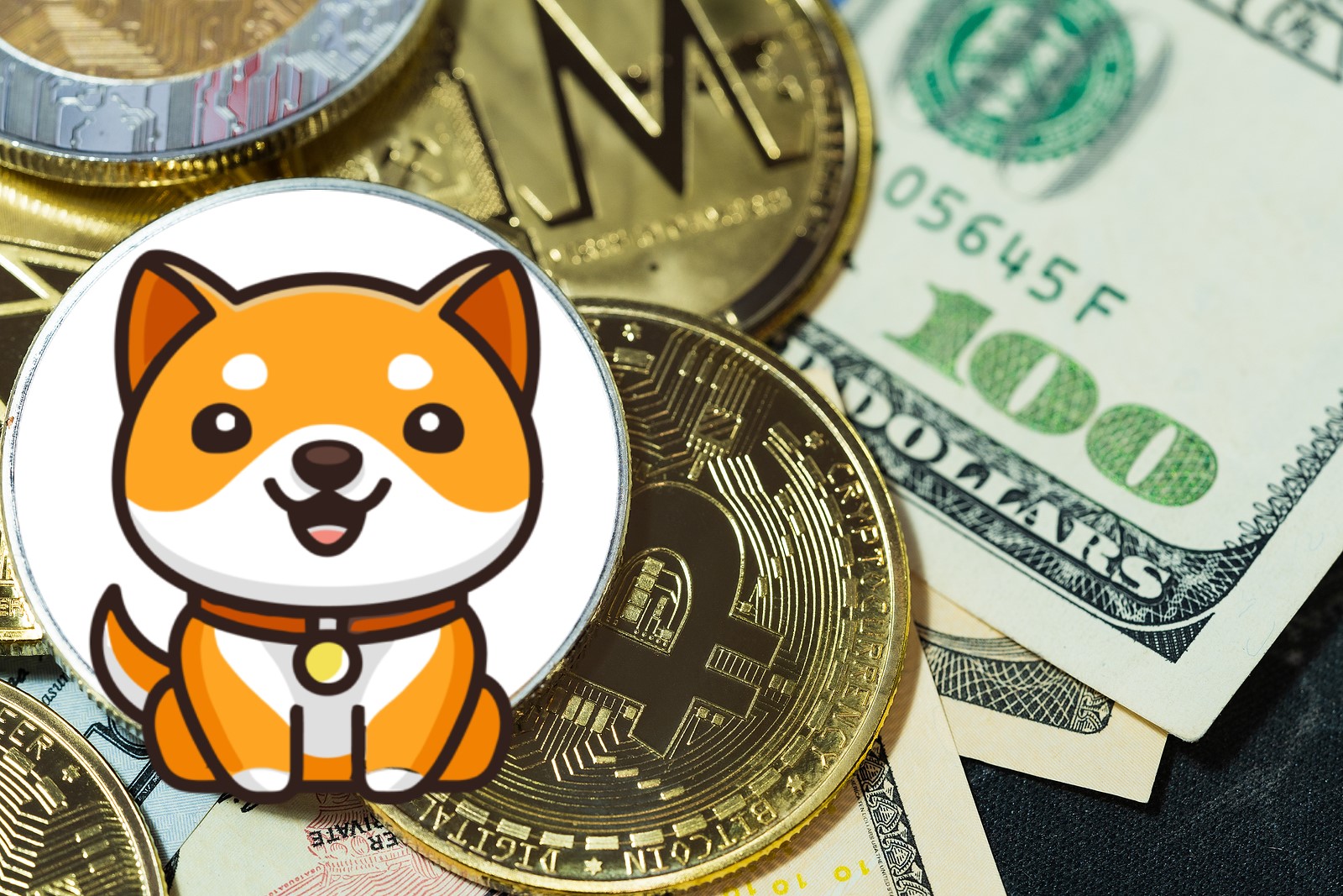 baby dogecoin cryptocurrency