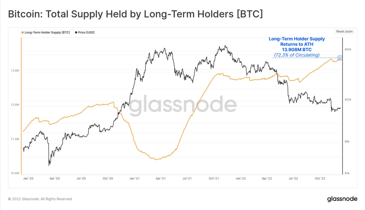 bitcoin holders btc 2022 bitcoin holders btc 2022